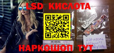 стафф Славгород