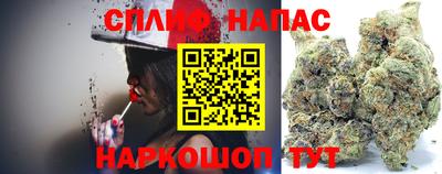 стафф Славгород