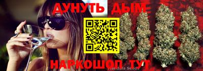 стафф Славгород
