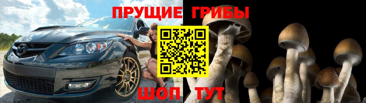 Асбест  Псилоцибиновые грибы Psilocybe  Вход с VPN 